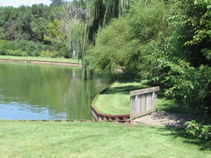 Pond in Emerald Green